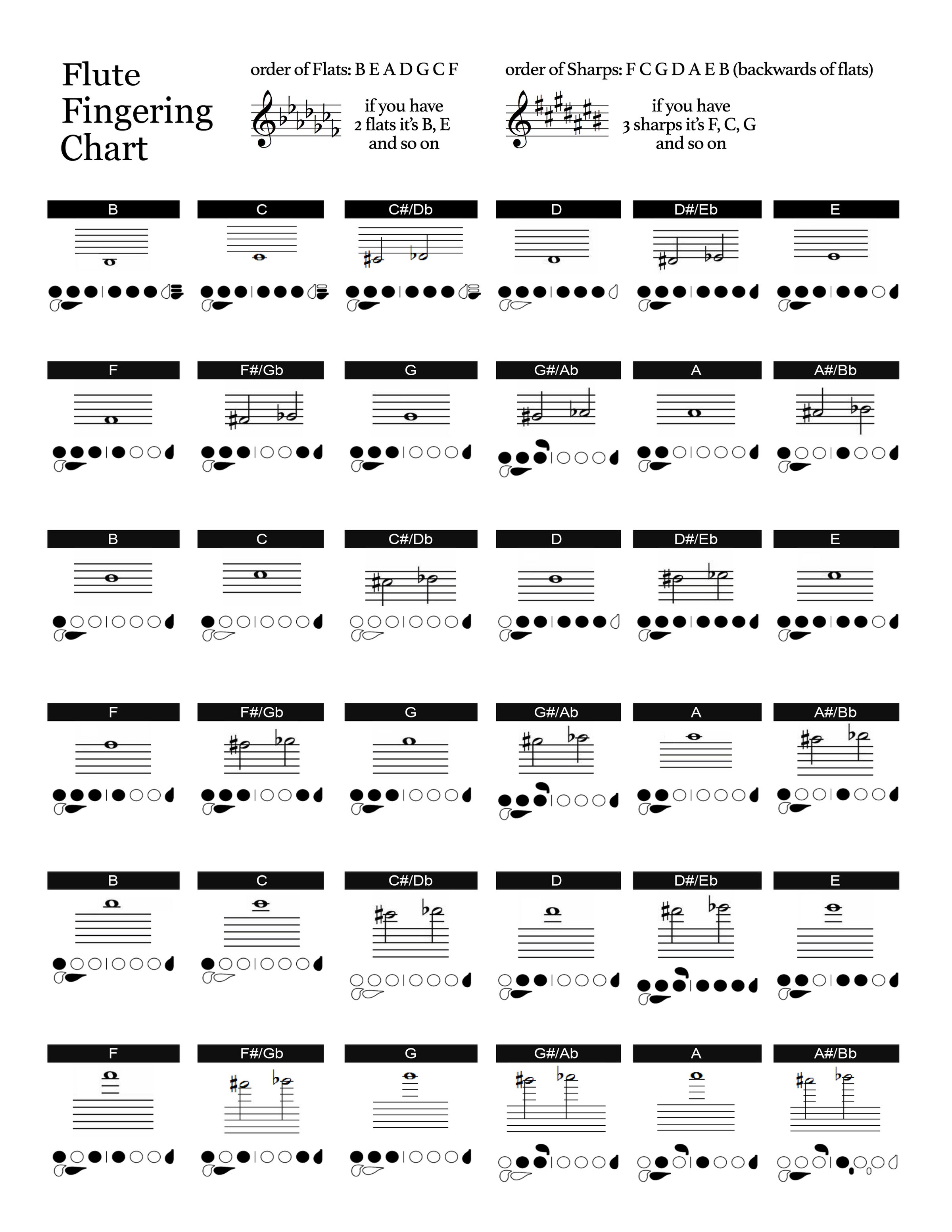 Flute Notes Chart 0301